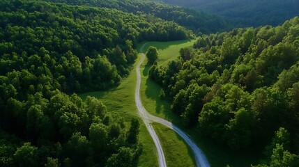 Poster - Aerial view of lush green hills and winding pathways through a serene forest landscape : Generative AI