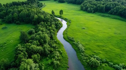 Aufkleber - Aerial view of serene green landscape with winding river amidst lush trees creating harmony : Generative AI