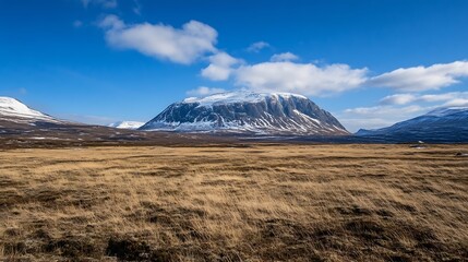 Poster - Stunning winter landscape with snow capped mountains and grassy foreground under a clear blue sky : Generative AI