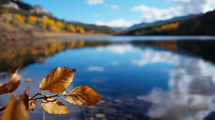 Poster - Closeup of autumn leaves floating on tranquil lake water reflecting the blue sky and surrounding scenery : Generative AI