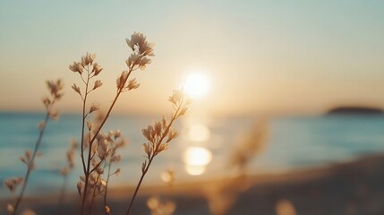 Poster - Delicate Wildflowers Silhouetted Against a Vibrant Sunset Over the Calm Ocean Waves : Generative AI