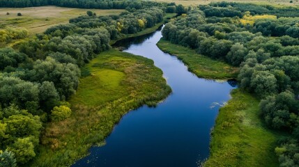 Poster - Aerial View of Serene River Flowing Through Lush Green Landscape : Generative AI