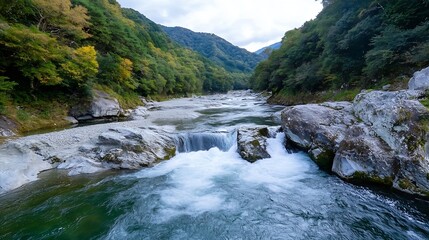 Poster - Serene Landscape of Tranquil River Flowing Through Lush Green Forest Setting : Generative AI