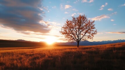 Aufkleber - Majestic Sunset View with Lone Tree Silhouetted Against Colorful Sky and Warm Horizon : Generative AI