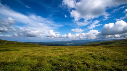 Poster - Expansive green meadow with rolling hills under a bright blue sky filled with fluffy white clouds : Generative AI