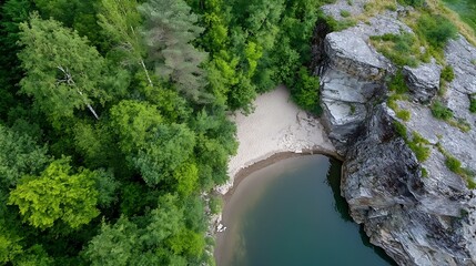 Poster - Birds eye view of a serene beach nestled within a green forest showcasing natural beauty and tranquility : Generative AI