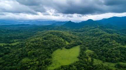 Poster - Aerial view of vast green hills and lush forests under cloudy sky in tranquil wilderness : Generative AI