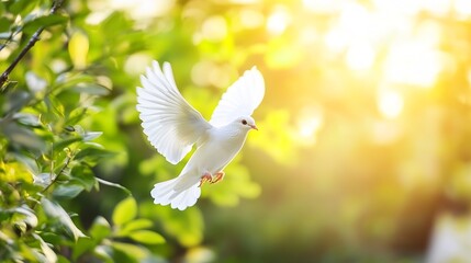 Poster - Beautiful white dove gracefully flying in the sunlight surrounded by green foliage symbolizing peace and freedom : Generative AI