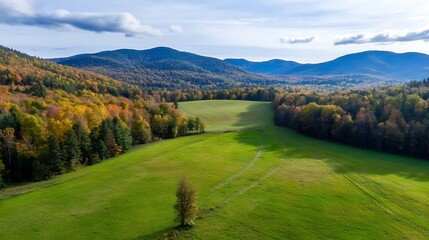 Poster - Vibrant Autumn Landscape Aerial View of Rolling Hills Blanketed in Colorful Trees Under a Clear Sky : Generative AI