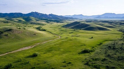 Poster - Breathtaking aerial view of vast green hills and open landscapes under a clear blue sky : Generative AI