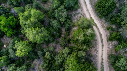 Aufkleber - Aerial View of a Winding Dirt Path Through Lush Green Foliage and Trees : Generative AI