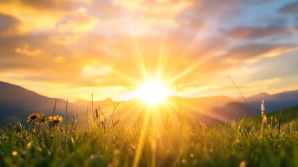 Aufkleber - Breathtaking sunrise over a grassy field with vibrant flowers under a scenic mountain landscape : Generative AI