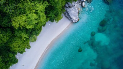 Poster - Stunning Aerial View of a Serene Beach with Crystal Clear Water Surrounded by Lush Green Trees : Generative AI
