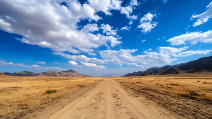 Poster - Stunning view of an empty road stretching through golden grasslands under a bright blue sky : Generative AI