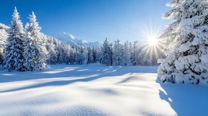 Poster - Picturesque Winter Landscape Showcasing SnowCovered Trees and Dazzling Sunlight on a Bright Day : Generative AI