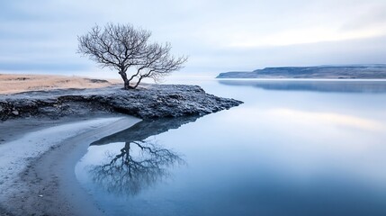 Poster - Lonely Bare Tree Silhouetted by a Misty Shoreline with Calm Waters Reflecting the Sky : Generative AI