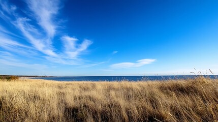 Aufkleber - Scenic coastal view of golden grassland meeting the clear blue ocean under a sunny sky : Generative AI