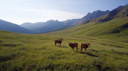Poster - Majestic wild deer grazing peacefully in a lush green valley surrounded by mountains : Generative AI