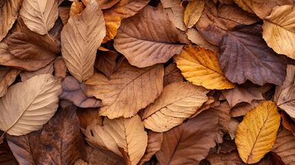 Leinwandbilder - Colorful Autumn Leaves on the Ground Creating a Seasonal Nature Scene Full of Warmth : Generative AI