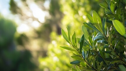 Aufkleber - Close up of vibrant green leaves highlighting the lush greenery in a serene natural environment : Generative AI