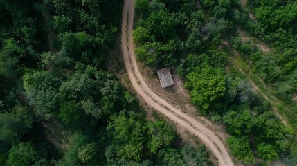 Poster - Aerial view of a winding dirt road leading through lush green forest landscape : Generative AI
