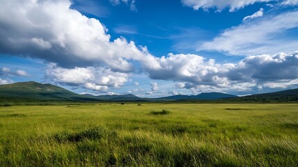 Poster - Expansive Green Meadow Under a Bright Blue Sky with Beautiful Fluffy Clouds : Generative AI