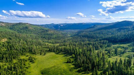 Poster - Expansive aerial view of lush green valley surrounded by mountains under a clear blue sky highlighting natural beauty : Generative AI