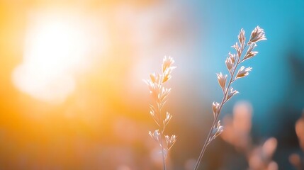 Aufkleber - Delicate Grass Blades Illuminated by Sunlight with a Bokeh Background Effect : Generative AI