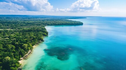 Poster - Aerial shot of crystal clear turquoise waters meeting lush green tropical forest : Generative AI