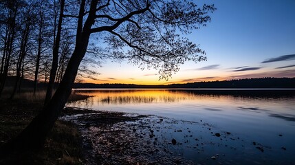 Poster - Serene sunset reflection over calm lake framed by silhouetted trees creating a peaceful atmosphere : Generative AI