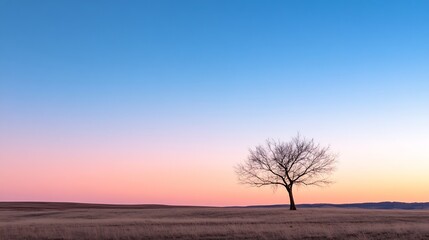 Poster - Solitary Tree Standing Alone in a Vast Field Against a Gradient Sky at Dusk : Generative AI