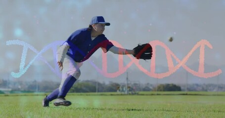 Poster - Baseball player catching ball with DNA strand animation in background