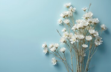 Aufkleber - Delicate white flowers arranged on soft blue background. Floral decor, minimalistic design, natural beauty, serene peaceful calm mood. Springtime blossoms arrangement, home interior design.