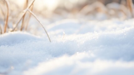 Fototapete - Beautiful close up of soft snow blanket on natural ground during winter sunlight : Generative AI