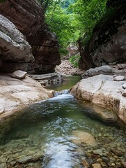 Poster - Breathtaking view of a narrow gorge with flowing stream surrounded by lush trees : Generative AI