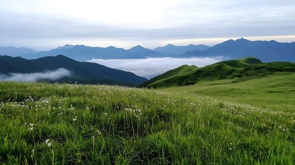 Aufkleber - Breathtaking panoramic view of lush green hills and mountains covered with mist at dawn in a serene natural landscape : Generative AI