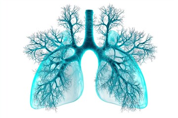 Fototapete - Digital rendering of transparent lungs with detailed bronchial tree structure, scientific and medical concept focusing on respiratory health and anatomy, Generative AI