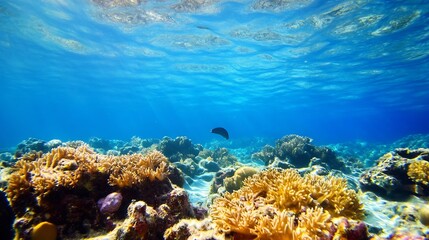 Poster - Beneath the Surface of a Vibrant Coral Reef Showcasing Diverse Marine Life in Crystal Clear Waters : Generative AI