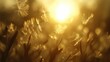 © Insight - Golden Hour Dandelion Seeds Blowing in Sunset Breeze.