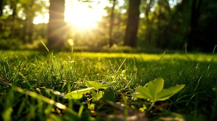 Poster - Vivid close up of lush green grass illuminated by sunlight filtering through the trees : Generative AI