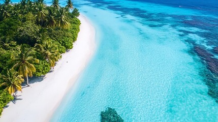Poster - Aerial View of a Pristine Tropical Beach with Crystal Clear Water and Lush Green Palm Trees : Generative AI