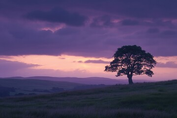 Aufkleber - Dramatic sunset illuminates lone tree in rural landscape with warm golden hues and deep purple twilight filling the horizon
