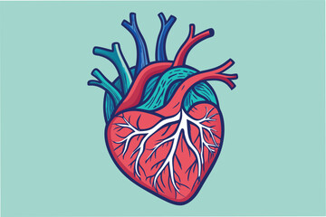 Poster - Detailed vector illustration of a human heart showing arteries and veins on a minimal background in vibrant colors