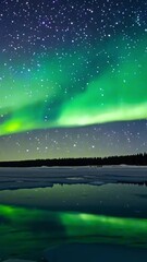 Wall Mural - vertical 9:16 Aurora borealis over a frozen lake. Vibrant ribbons of green and purple light dance across the night sky, reflecting onto the icy surface. The atmosphere feels vast and ethereal