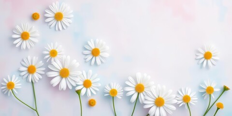 Wall Mural - Delicate white daisy floral pattern on pastel blue and pink background , textile, print