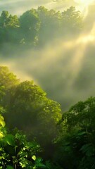 Wall Mural - vertical 9:16 lush rainforest canopy with vibrant green leaves, dappled sunlight breaking through, a
