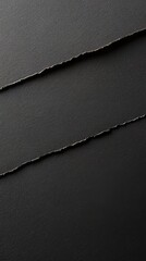 Poster - Torn black layers texture