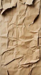 Poster - Texture of crumpled brown kraft paper, abstract background with organic feel, light and shadow interplay.