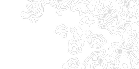 Poster - white abstract grid curve line topo contour map background, topographic contour lines. seamless patt