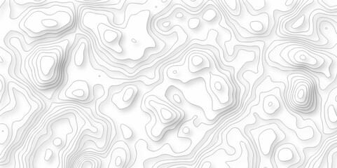 Poster - white topo contour map on white background, topographic contour lines. seamless pattern with lines t